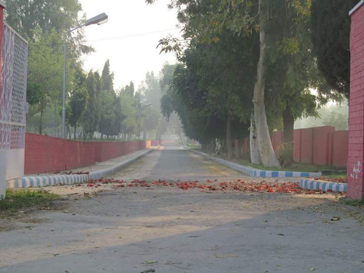 Canal Colony Khanewal